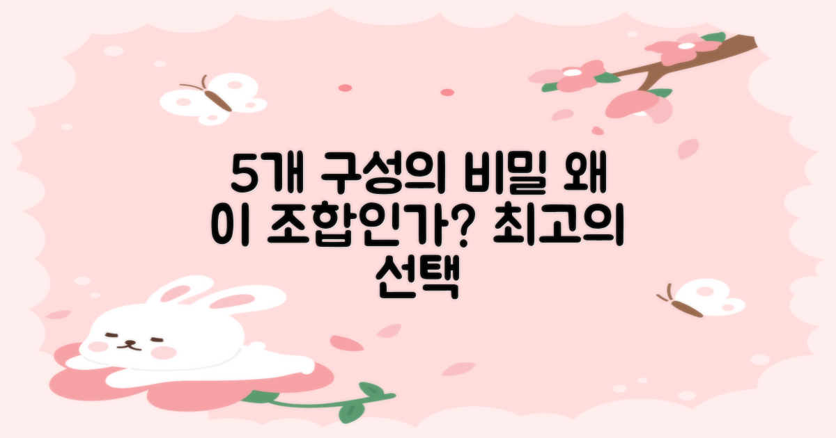 5개 세트, 왜 이 구성이 좋을까?