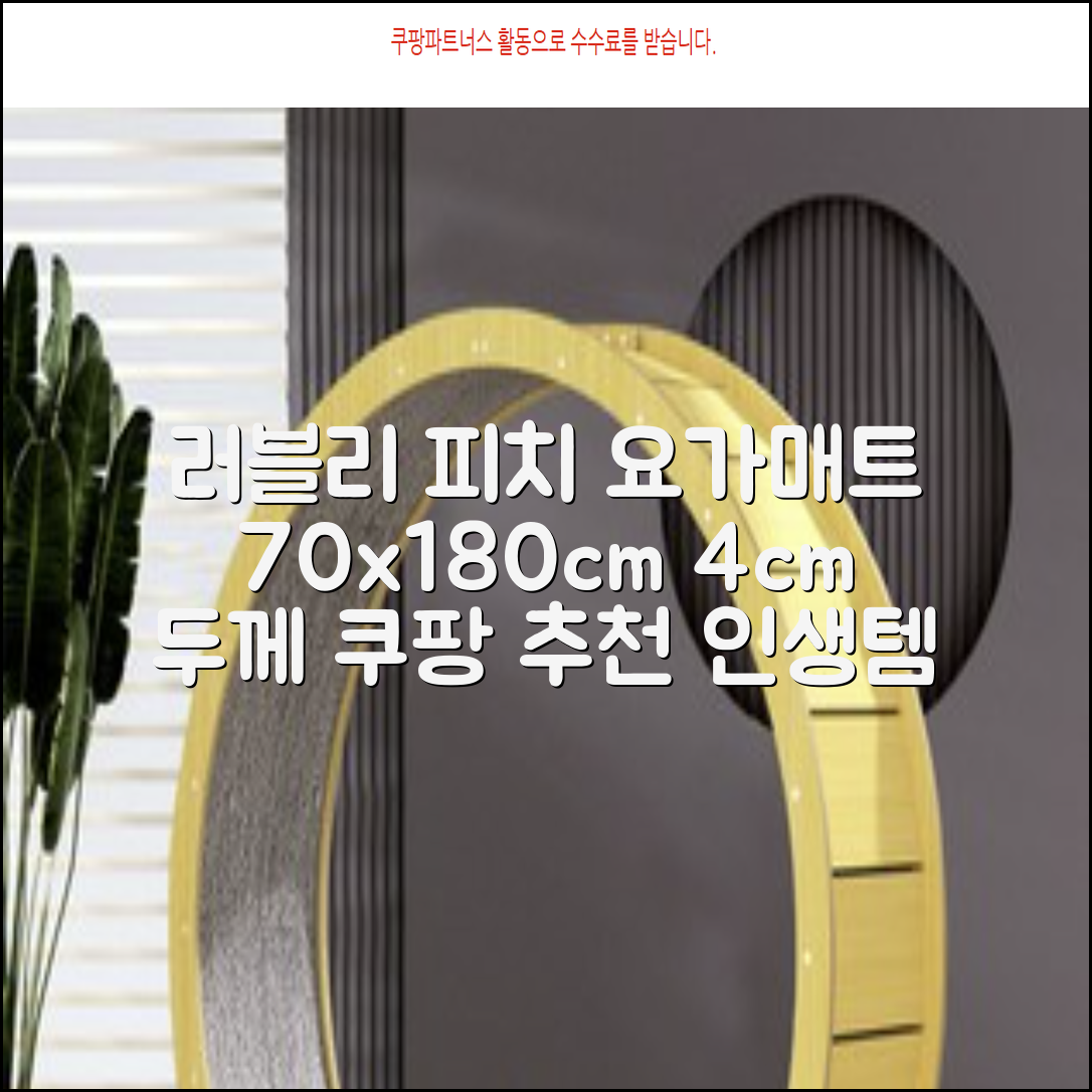 홈베스트 트레이닝 매트 70x180x4cm, 러블리_피치 추천 리뷰