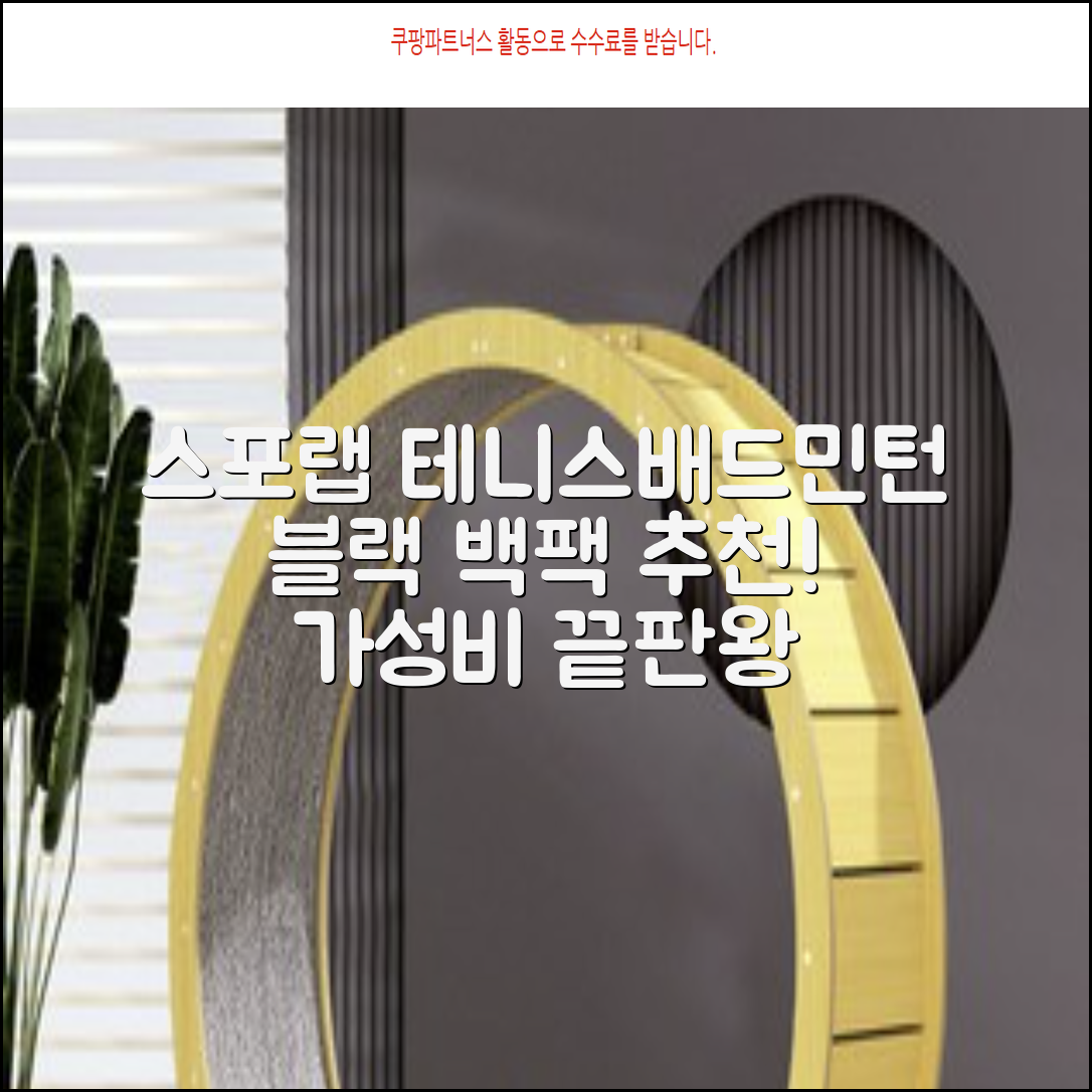 스포랩 테니스 가방 배드민턴 백팩, 블랙, 1개 추천 리뷰