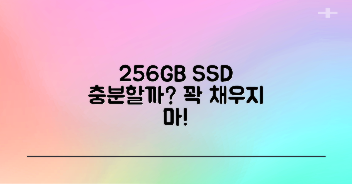 256GB SSD, 충분할까?