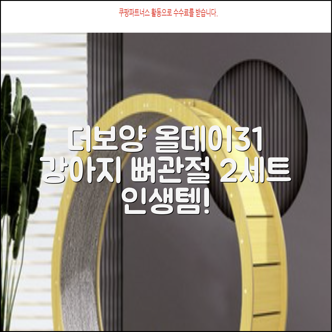 더보양 올데이31 강아지 영양제, 160정, 뼈/관절강화, 2세트 추천 리뷰