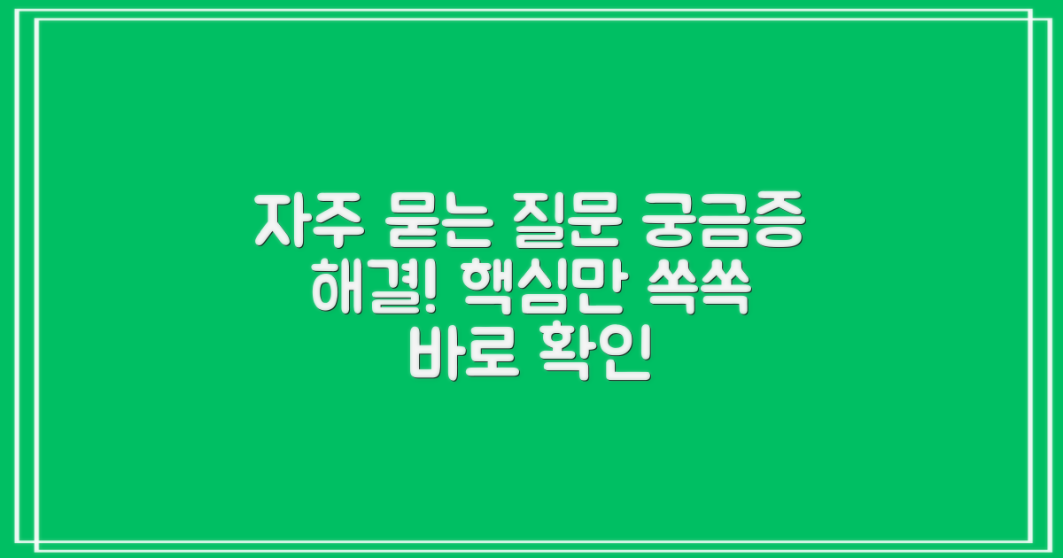 자주 묻는 질문