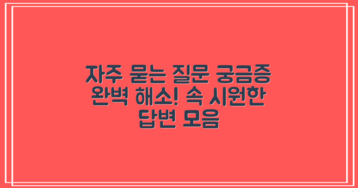 자주 묻는 질문