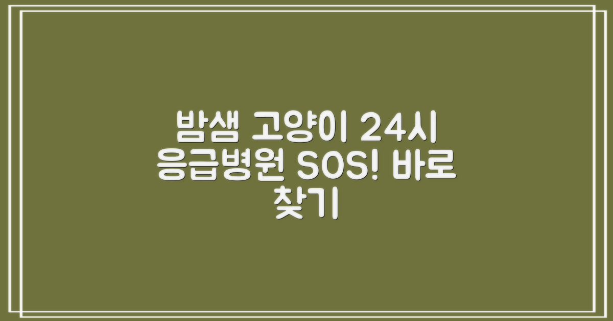응급 대처 vs 예방: 밤샘 간호가 필요한 고양이를 위한 24시간 응급 병원 찾기