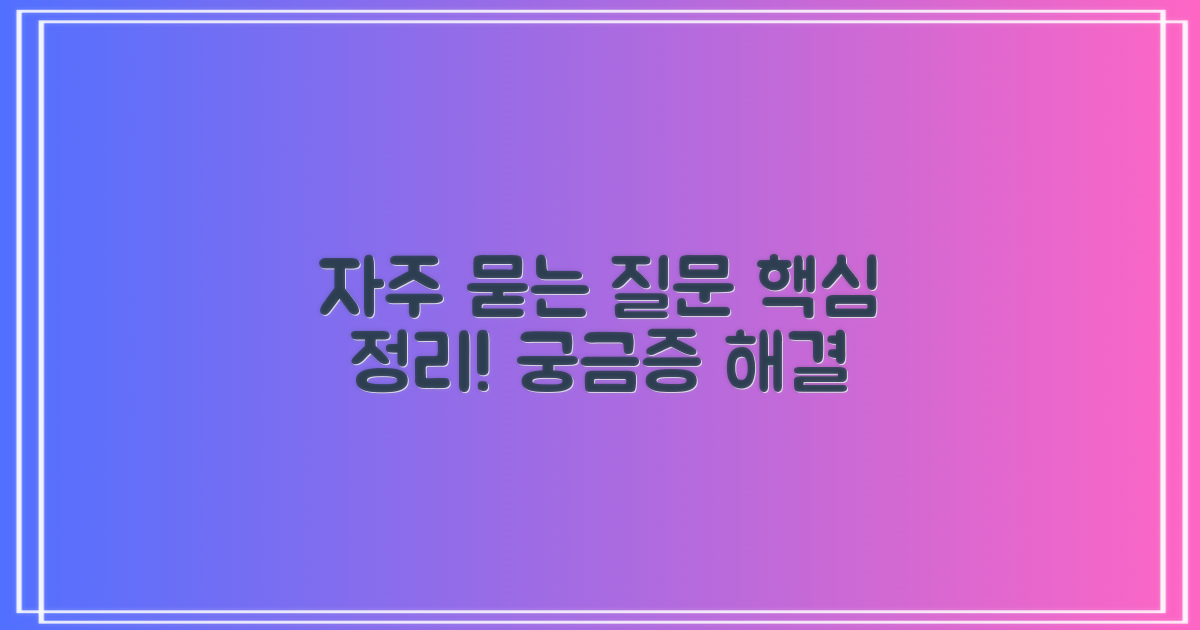 자주 묻는 질문