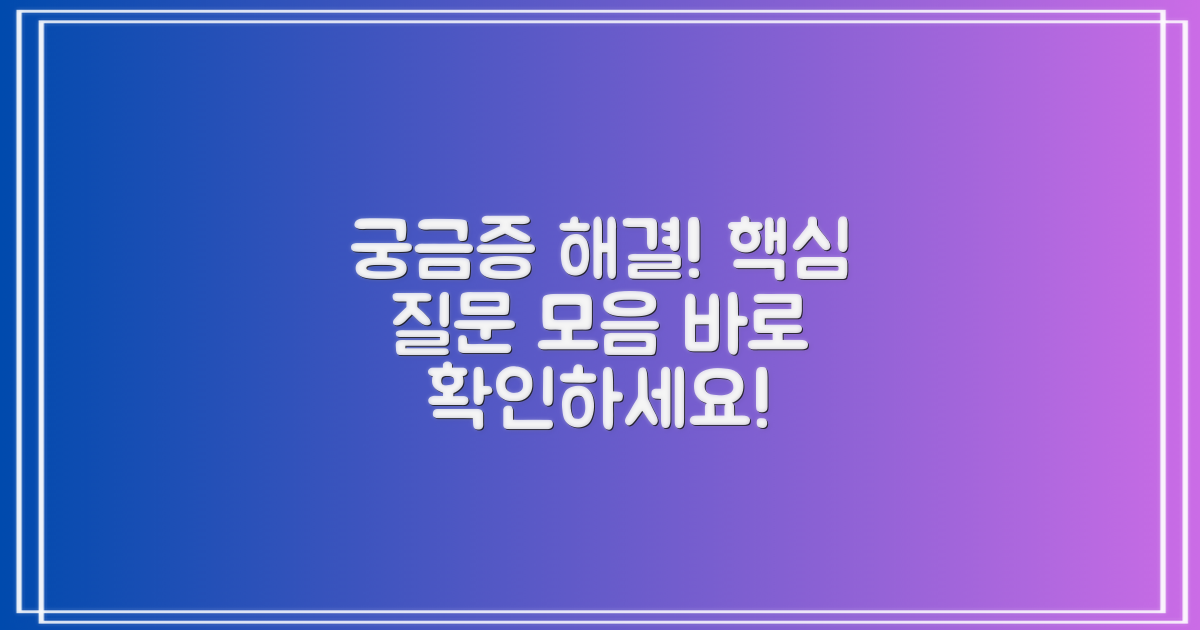 자주 묻는 질문