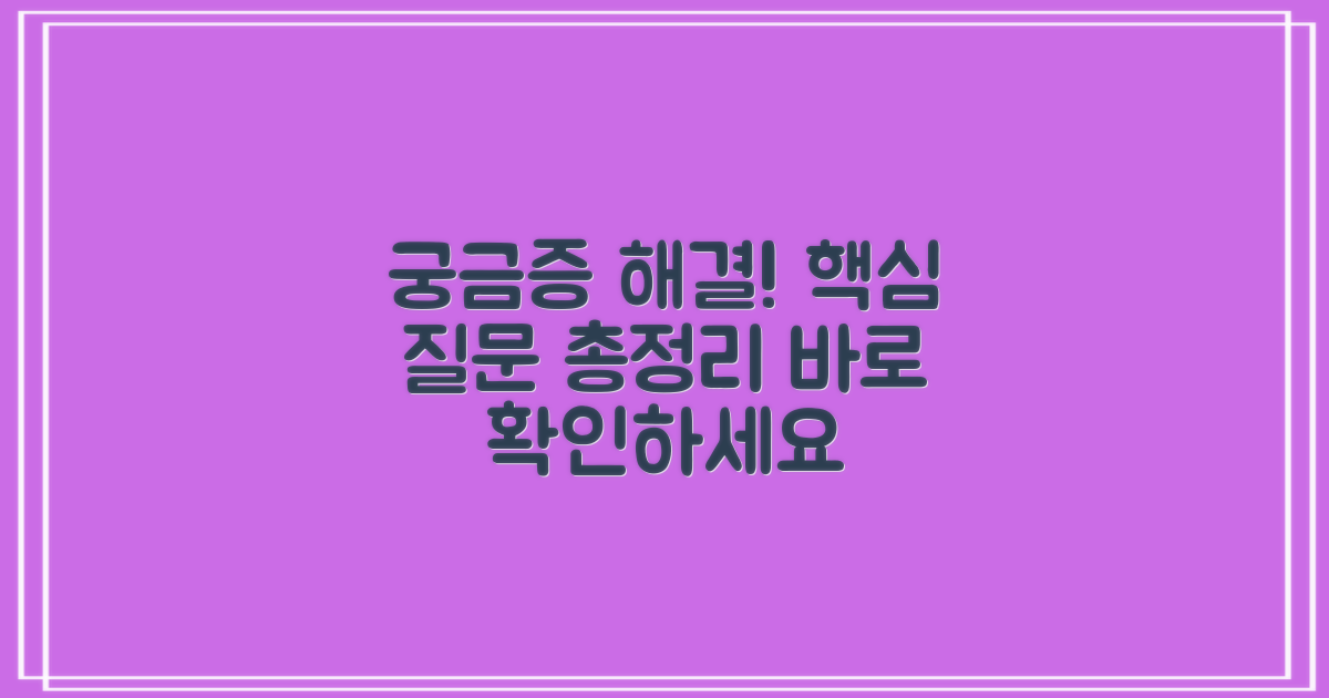 자주 묻는 질문