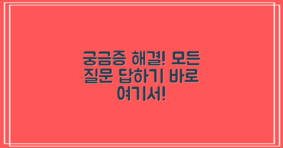 자주 묻는 질문